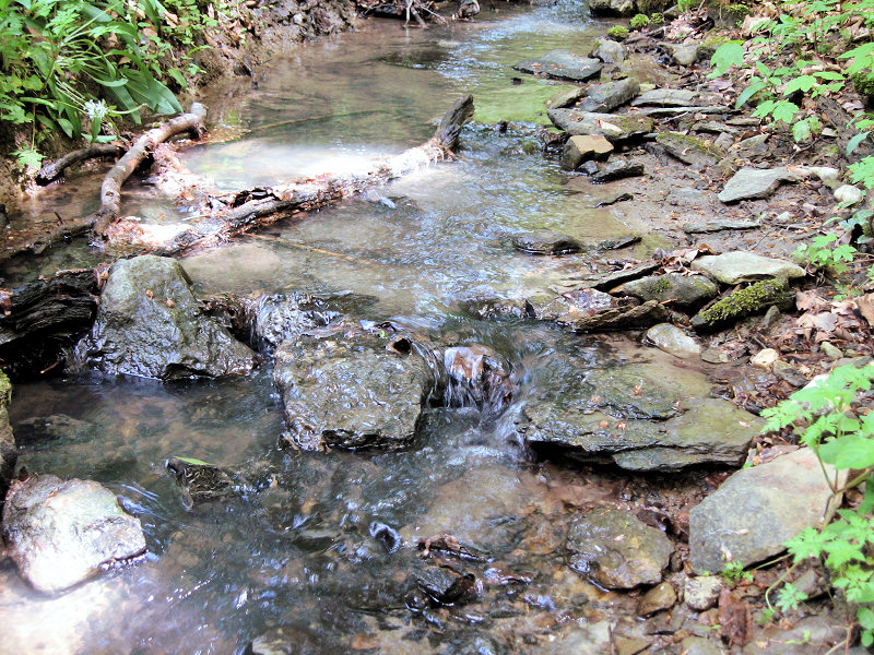 Mitteljura (Foto: Kreh) Mitteljura (Foto: Kreh)