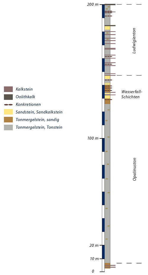 Profil des unteren Braunjuras (vereinfachte Darstellung nach Geyer/Gwinner) Profil des unteren Braunjuras (vereinfachte Darstellung nach Geyer/Gwinner)