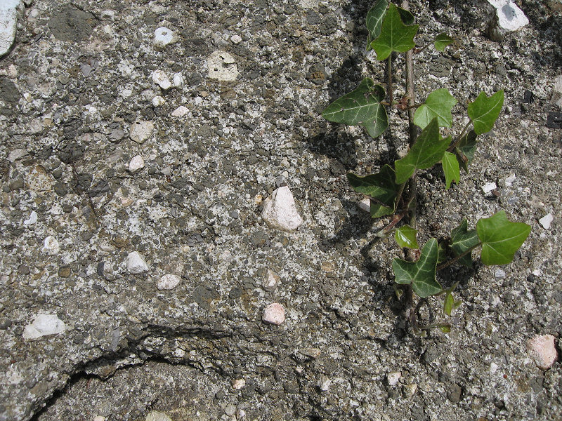 Vulkantuff (Foto: Kreh) Vulkantuff (Foto: Kreh)