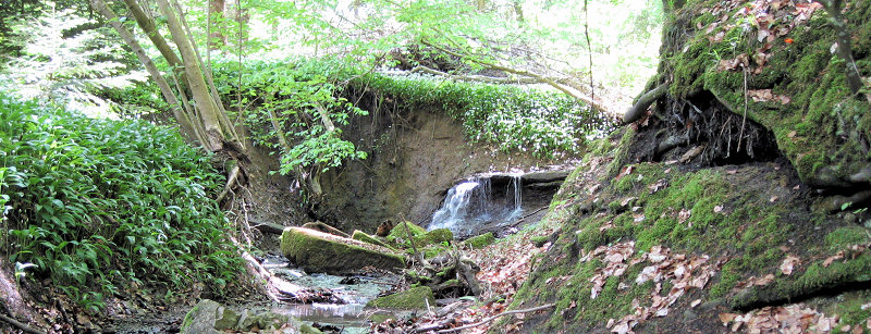 Wasserfallbank (Foto: Kreh) Wasserfallbank (Foto: Kreh)