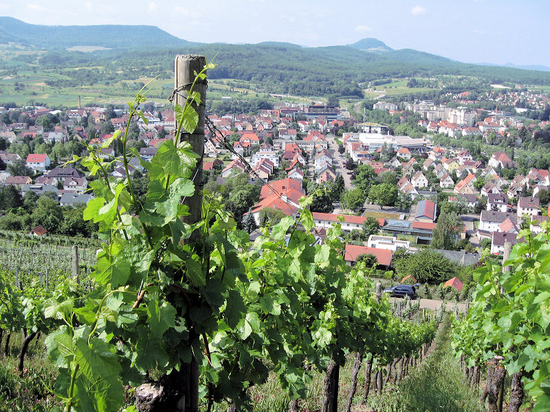 Blick über Metzingen zur Achalm (Foto: Kreh) Blick über Metzingen zur Achalm (Foto: Kreh)