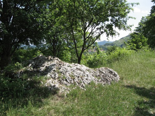 Florian Gipfel (Foto: Kreh)