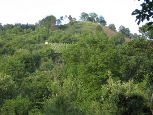 Floriansberg (Foto: Kreh)