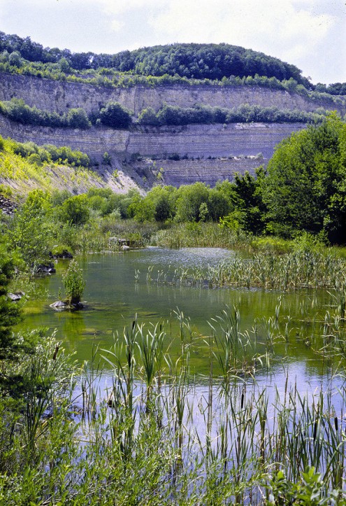 HoernleTümpel (Foto: Reg. Präs. Stuttgart)