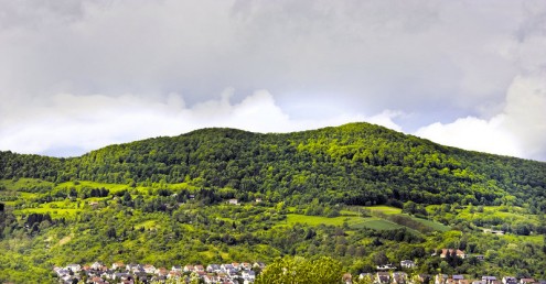 Hoernle Panorama (Foto: Arnold) Hoernle Panorama (Foto: Arnold)