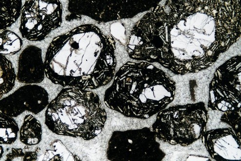 Lapilli Neuffener Steige (Prof. Dr. Friedheim Thiedig)