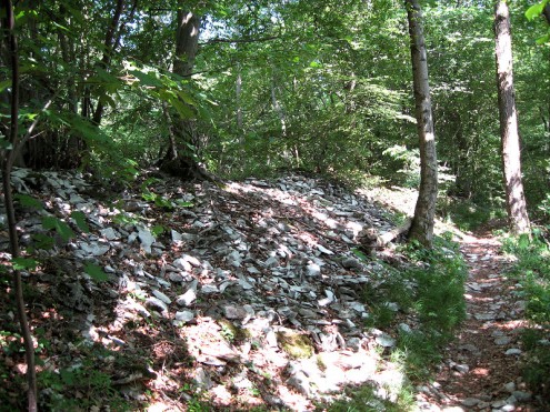 Lesesteinwall Waldrand Kienbein (Foto: Kreh)