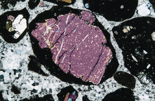 Lapilli Neuffener Steige (Prof. Dr. Friedheim Thiedig)